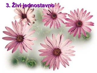 3.  Živi jednostavno 