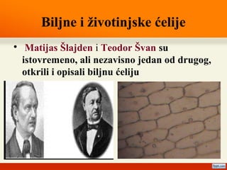 Biljne i životinjske ćelije

Matijas Šlajden i Teodor Švan su
istovremeno, ali nezavisno jedan od drugog,
otkrili i opisali biljnu ćeliju
 