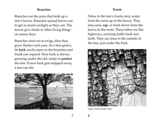 Branches
Branches are the arms that hold up a
tree’s leaves. Branches spread leaves out
to get as much sunlight as they can. The
leaves give shade to other living things
on sunny days.
Branches start out as twigs, then they
grow thicker each year. As a tree grows,
its bark cracks open so the branches and
trunk can expand. New bark is always
growing under the old, ready to protect
the tree. If new bark gets stripped away,
a tree can die.
7
Trunk
Tubes in the tree’s trunk carry water
from the roots up to the leaves. They
also carry sap, or food, down from the
leaves to the roots. These tubes are like
highways, carrying trafﬁc back and
forth. They are close to the outside of
the tree, just under the bark.
8
Layers of bark protect trees.
twigs
branch
trunk
leaves
roots
 