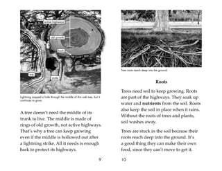 A tree doesn’t need the middle of its
trunk to live. The middle is made of
rings of old growth, not active highways.
That’s why a tree can keep growing
even if the middle is hollowed out after
a lightning strike. All it needs is enough
bark to protect its highways.
9
Roots
Trees need soil to keep growing. Roots
are part of the highways. They soak up
water and nutrients from the soil. Roots
also keep the soil in place when it rains.
Without the roots of trees and plants,
soil washes away.
Trees are stuck in the soil because their
roots reach deep into the ground. It’s
a good thing they can make their own
food, since they can’t move to get it.
10
Tree roots reach deep into the ground.
Lightning zapped a hole through the middle of this oak tree, but it
continues to grow.
bark
old growth
active highways
water
sap
 