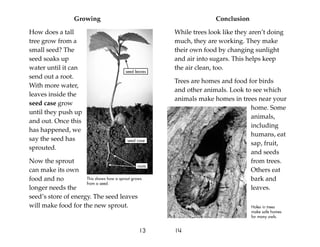 Growing
How does a tall
tree grow from a
small seed? The
seed soaks up
water until it can
send out a root.
With more water,
leaves inside the
seed case grow
until they push up
and out. Once this
has happened, we
say the seed has
sprouted.
Now the sprout
can make its own
food and no
longer needs the
seed’s store of energy. The seed leaves
will make food for the new sprout.
13
Conclusion
While trees look like they aren’t doing
much, they are working. They make
their own food by changing sunlight
and air into sugars. This helps keep
the air clean, too.
Trees are homes and food for birds
and other animals. Look to see which
animals make homes in trees near your
home. Some
animals,
including
humans, eat
sap, fruit,
and seeds
from trees.
Others eat
bark and
leaves.
14
Holes in trees
make safe homes
for many owls.
This shows how a sprout grows
from a seed.
seed case
roots
seed leaves
 