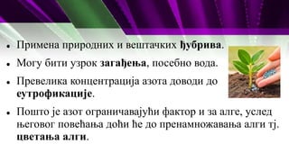  Примена природних и вештачких ђубрива.
 Могу бити узрок загађења, посебно вода.
 Превелика концентрација азота доводи до
еутрофикације.
 Пошто је азот ограничавајући фактор и за алге, услед
његовог повећања доћи ће до пренамножавања алги тј.
цветања алги.
 