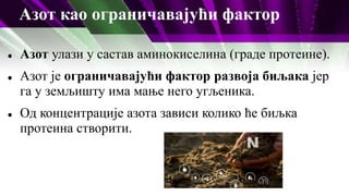 Азот као ограничавајући фактор
 Азот улази у састав аминокиселина (граде протеине).
 Азот је ограничавајући фактор развоја биљака јер
га у земљишту има мање него угљеника.
 Од концентрације азота зависи колико ће биљка
протеина створити.
 