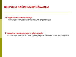 BESPOLNI NAČIN RAZMNOŽAVANJA
 vegetativno razmnožavanje
razvijanje novih jedinki iz vegetativnih organa biljke
 bespolno razmnožavanje u užem smislu
obrazovanje specijalnih ćelija (spora) koje se formiraju u tzv. sporangijama
 