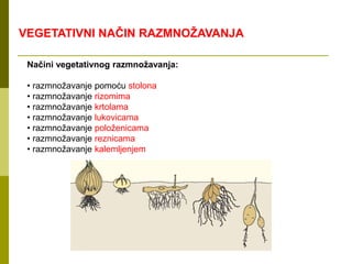 VEGETATIVNI NAČIN RAZMNOŽAVANJA
Načini vegetativnog razmnožavanja:
• razmnožavanje pomoću stolona
• razmnožavanje rizomima
• razmnožavanje krtolama
• razmnožavanje lukovicama
• razmnožavanje položenicama
• razmnožavanje reznicama
• razmnožavanje kalemljenjem
 