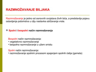 RAZMNOŽAVANJE BILJAKA

Razmnožavanje je jedno od osnovnih svojstava živih bića, a predstavlja pojavu
ostavljanja potomstva u cilju nastavka održavanja vrste.


 Spolni i bespolni način razmnožavanja


  Bespolni način razmnožavanja:
  • vegetativno razmnožavanje
  • bespolno razmnožavanje u užem smislu

  Spolni način razmnožavanja:
  • razmnožavanje spolnim procesom spajanjem spolnih ćelija (gameta)
 