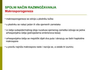 SPOLNI NAČIN RAZMNOŽAVANJA
Makrosporogeneza

• makrosporogeneza se odvija u plodniku tučka

• u plodniku se nalazi jedan ili više sjemenih zametaka

• iz ćelija subepidermalnog sloja nucelusa sjemenog zametka izdvaja se jedna
  arhesporijalna ćelija (jednojedarna embrionova kesa)

• arhesporijalna ćelija se mejotički dijeli dva puta i obrazuju se četiri haploidne
  makrospore

• u pravilu najniža makrospora raste i razvija se, a ostale tri izumiru
 