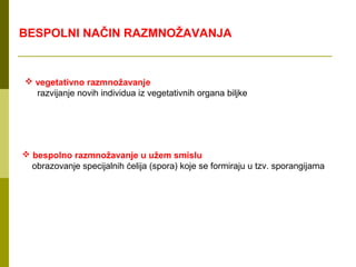BESPOLNI NAČIN RAZMNOŽAVANJA


 vegetativno razmnožavanje
  razvijanje novih individua iz vegetativnih organa biljke




 bespolno razmnožavanje u užem smislu
  obrazovanje specijalnih ćelija (spora) koje se formiraju u tzv. sporangijama
 
