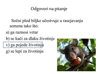 Odgovori na pitanje
Sočni plod biljke učestvuje u rasejavanju
semena tako što:
a) ga raznosi vetar
b) se kači za dlaku životinje
v) ga pojede životinja
g) se lepi za životinju
 
