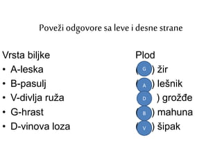 Poveži odgovoresa leve idesnestrane
Vrsta biljke Plod
• A-leska ( ) žir
• B-pasulj ( ) lešnik
• V-divlja ruža ( ) grožđe
• G-hrast ( ) mahuna
• D-vinova loza ( ) šipak
A
B
V
G
D
 