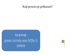 Kojiproces je prikazan?
KLIJANJE
proces razvoja nove biljke iz
semena
 