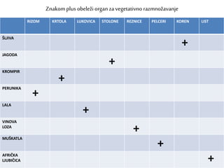 RIZOM KRTOLA LUKOVICA STOLONE REZNICE PELCERI KOREN LIST
ŠLJIVA
JAGODA
KROMPIR
PERUNIKA
LALA
VINOVA
LOZA
MUŠKATLA
AFRIČKA
LJUBIČICA
+
+
+
+
+
+
+
+
Znakomplus obeležiorgan za vegetativno razmnožavanje
 