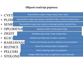 Objasni značenjepojmova
• CVET
• PLOD
• SEME
• OPLOĐENJE
• ZIGOT
• KLICA
• RASEJAVANJE
• REZNICE
• PELCERI
• STOLONE
Reproduktivni organ iz koga nastaju seme i plod.
Reproduktivni organ koji nastaje iz plodnika tučka i u kome se nalazi seme.
Reproduktivni organ koji nastaje iz semenog zametka i koji štiti klicu.
Spajanje muške i ženske polne ćelije.
Oplođena jajna ćelija iz koje nastaje klica-
Začetak nove biljke koji se nalazi u semenu.
Proces razmnošenja semena i plodova na nove prostore.
Delovi drvenastog stabla sa pupoljcima.
Delovi zeljastog stabla sa pupoljcima.
Polegla stabla koja služe za vegetativno razmnožavanje.
 