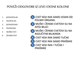 POVEŽI ODGOVOREIZLEVE I DESNEKOLONE
1. JEDNOPOLAN
2. DVOPOLAN
3. JEDNODOMA
4. DVODOMA
5. MUŠKI CVET
6. ŽENSKI CVET
( ) CVET KOJI IMA SAMO JEDAN OD
POLNIH ORGANA.
( ) MUŠKI I ŽENSKI CVETOVI SU NA
ISTOJ BILJCI
( ) MUŠKI I ŽENSKI CVETOVI SU NA
RAZLIČITIM BILJKAMA
( ) CVET KOJI IMA SAMO TUČAK
( ) CVET KOJI IMA SAMO PRAŠNIKE
( ) CVET KOJI IMA I TUČAK I
PRAŠNIKE
1
2
3
4
6
5
 