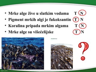Raznovrsnost algi | PPT