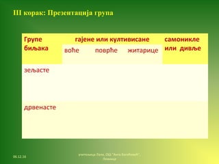 06.12.16
учитељица Лала, ОШ "Анта Богићевић",
Лозница
III корак: Презентација група
Групе
биљака
гајене или култивисане самоникле
или дивљевоће поврће житарице
зељасте
дрвенасте
 