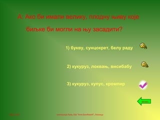 06.12.16. учитељица Лала, ОШ "Анта Богићевић", Лозница
А: Ако би имали велику, плодну њиву које
биљке би могли на њу засадити?
1) букву, сунцокрет, белу раду
2) кукуруз, локвањ, висибабу
3) кукуруз, купус, кромпир
назад
 