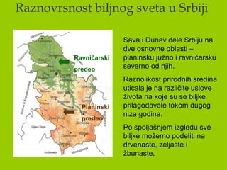 Raznovrsnost biljnog sveta u Srbiji
Ravničarski
predeo
Planinski
predeo
Sava i Dunav dele Srbiju na
dve osnovne oblasti –
planinsku južno i ravničarsku
severno od njih.
Raznolikost prirodnih sredina
uticala je na različite uslove
života na koje su se biljke
prilagođavale tokom dugog
niza godina.
Po spoljašnjem izgledu sve
biljke možemo podeliti na
drvenaste, zeljaste i
žbunaste.
 