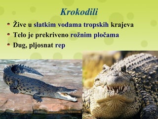 Krokodili
Žive u slatkim vodama tropskih krajeva
Telo je prekriveno rožnim pločama
Dug, pljosnat rep
 