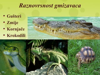 Raznovrsnost gmizavaca
Gušteri
Zmije
Kornjače
Krokodili
 