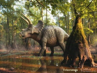 Triceratops
 