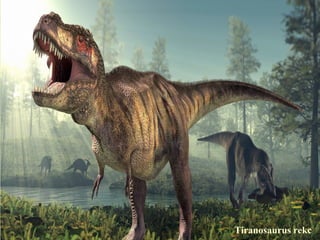 Tiranosaurus rekc
 