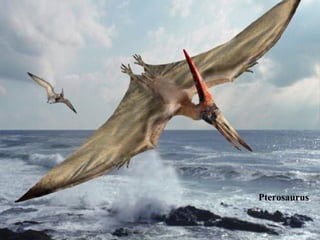 Pterosaurus
 