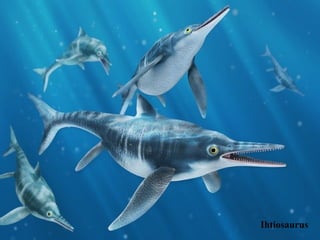 Ihtiosaurus
 