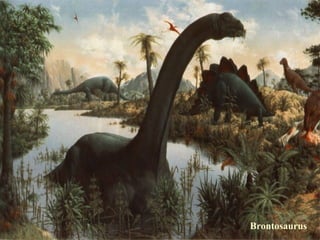 Brontosaurus
 