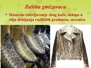 Zaštita gmizavaca
Masovno izlovljavanje zbog kože, oklopa u
cilju dobijanja različitih predmeta, suvenira
 