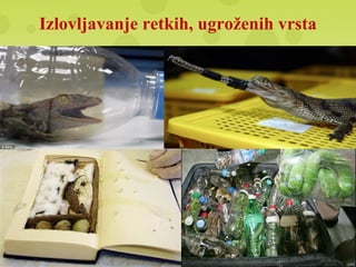 Izlovljavanje retkih, ugroženih vrsta
 