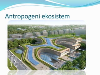 Antropogeni ekosistem
 