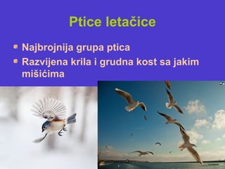 Ptice letačice
Najbrojnija grupa ptica
Razvijena krila i grudna kost sa jakim
mišićima
 