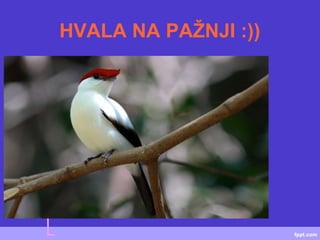 HVALA NA PAŽNJI :))
 