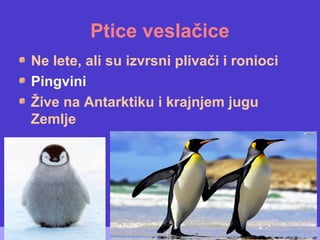 Ptice veslačice
Ne lete, ali su izvrsni plivači i ronioci
Pingvini
Žive na Antarktiku i krajnjem jugu
Zemlje
 