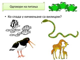 • Ко спада у кичмењаке са вилицом?
 