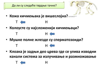 • Кожа кичмењака је вишеслојна?
Т Н
• Колоусте су најсложенији кичмењаци?
Т Н
• Мушке полне жлезде су сперматозоиди?
Т Н
• Клоака је задњи део црева где се улива изводни
канали система за излучивање и размножавање
Т Н
 