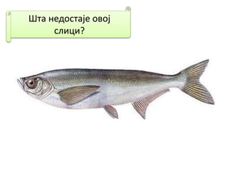 Шта недостаје овој
слици?
 