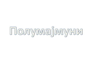 Raznovrsnost sisara
