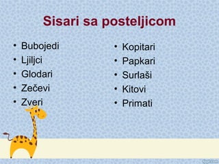 Sisari sa posteljicom
• Bubojedi
• Ljiljci
• Glodari
• Zečevi
• Zveri
• Kopitari
• Papkari
• Surlaši
• Kitovi
• Primati
 