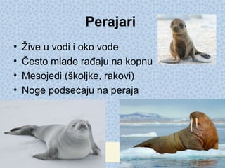 Perajari
• Žive u vodi i oko vode
• Često mlade rađaju na kopnu
• Mesojedi (školjke, rakovi)
• Noge podsećaju na peraja
 