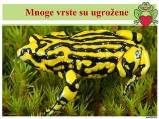 Mnoge vrste su ugrožene
 