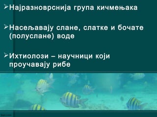 Најразноврснија група кичмењака
Насељавају слане, слатке и бочате
(полуслане) воде
Ихтиолози – научници који
проучавају рибе
 
