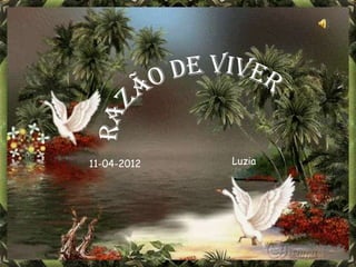 11-04-2012   Luzia
 