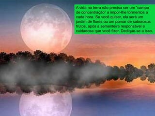 A vida na terra não precisa ser um “campo
de concentração” a impor-lhe tormentos a
cada hora. Se você quiser, ela será um
jardim de flores ou um pomar de saborosos
frutos, após a sementeira responsável e
cuidadosa que você fizer. Dedique-se a isso.
 