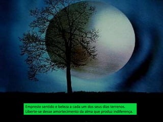 Empreste sentido e beleza a cada um dos seus dias terrenos.
Liberte-se desse amortecimento da alma que produz indiferença.
 