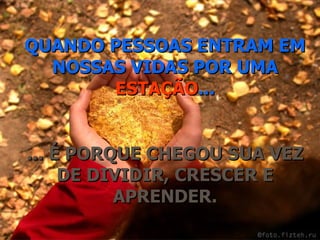 QUANDO PESSOAS ENTRAM EM NOSSAS VIDAS POR UMA  ESTAÇÃO ... ... É PORQUE CHEGOU SUA VEZ DE DIVIDIR, CRESCER E APRENDER. 