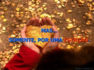 MAS... SOMENTE, POR UMA  ESTAÇÃO . 