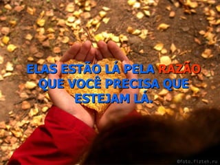 ELAS ESTÃO LÁ PELA  RAZÃO  QUE VOCÊ PRECISA QUE ESTEJAM LÁ. 