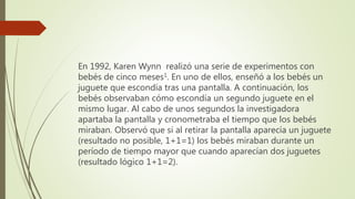 En 1992, Karen Wynn realizó una serie de experimentos con
bebés de cinco meses1. En uno de ellos, enseñó a los bebés un
juguete que escondía tras una pantalla. A continuación, los
bebés observaban cómo escondía un segundo juguete en el
mismo lugar. Al cabo de unos segundos la investigadora
apartaba la pantalla y cronometraba el tiempo que los bebés
miraban. Observó que si al retirar la pantalla aparecía un juguete
(resultado no posible, 1+1=1) los bebés miraban durante un
período de tiempo mayor que cuando aparecían dos juguetes
(resultado lógico 1+1=2).
 